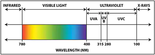 Best UV Steilizer For Your Little One
